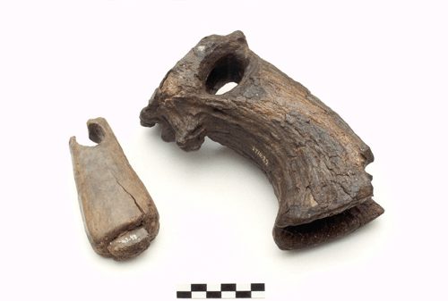 Sarvest kirvepead Kunda asulakohalt