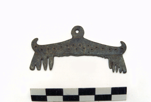 Kammikujuline pronksripats R�uge linnuselt