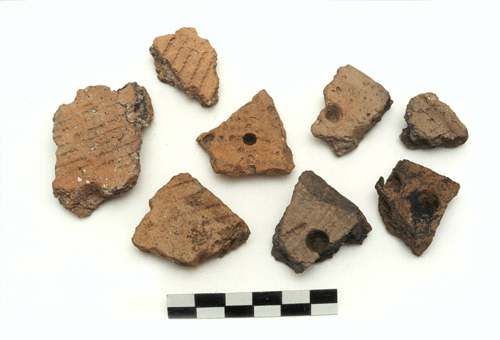 Tüüpilise kammkeraamika killud Lemmetsa II asulakohalt
